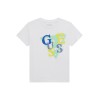 G011