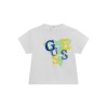 G011