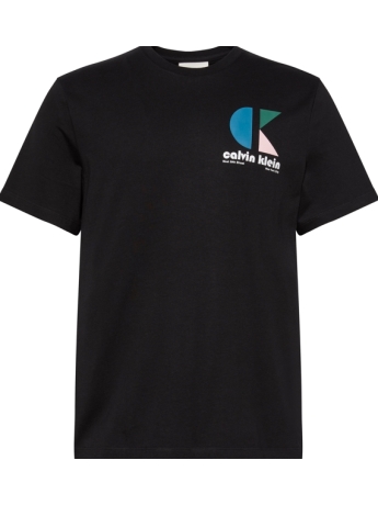 Calvin Klein t-shirt nera con big logo multicolor dietro