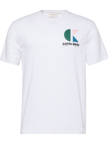 Calvin Klein t-shirt bianca con big logo multicolor dietro